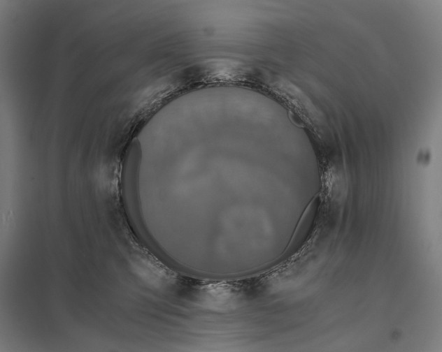 X0000097760423200803281638