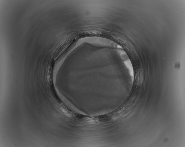 X0000097760424200803281638