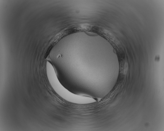 X0000097760425200803281638