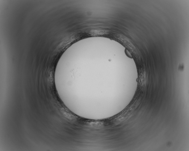 X0000097760426200803281638