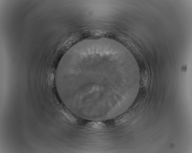 X0000097760427200803281638