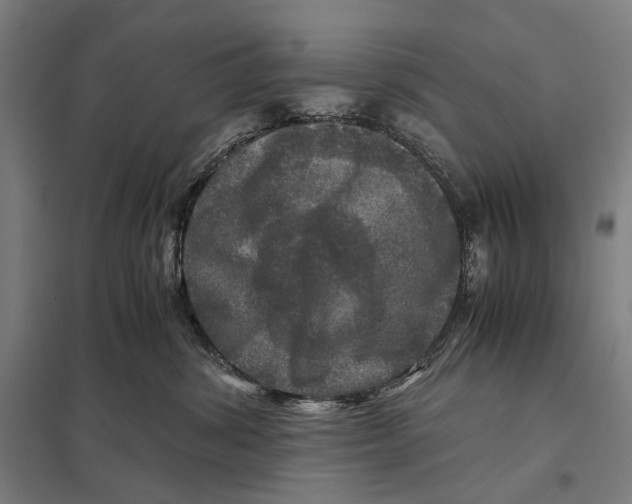 X0000097760428200803281638