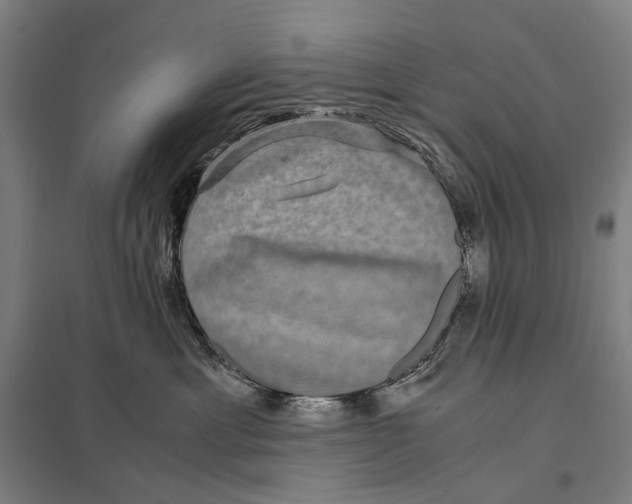 X0000097760429200803281638