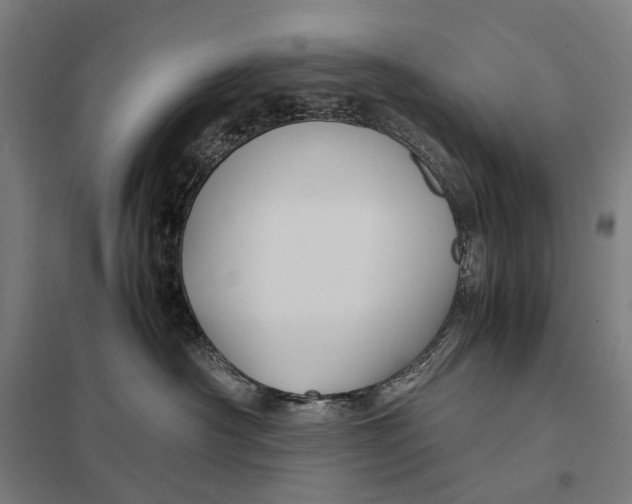 X0000097760430200803281638