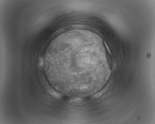 X0000097760431200803281638