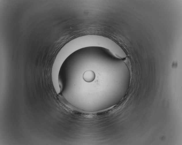 X0000097760432200803281638