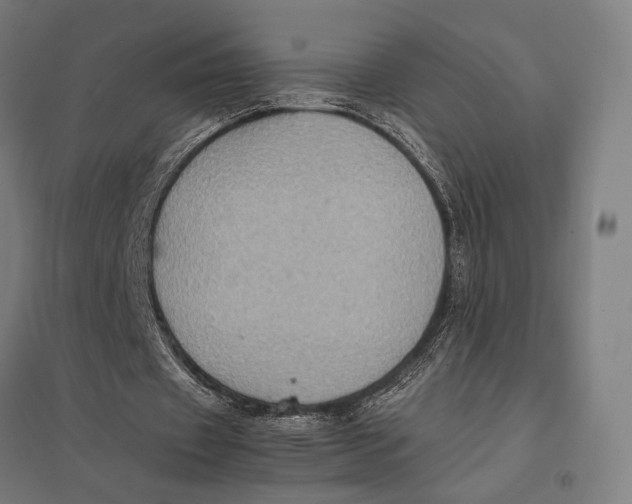 X0000097760433200803281637