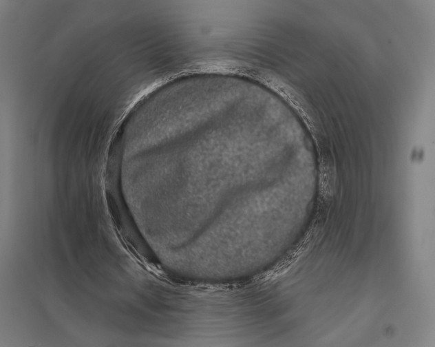 X0000097760434200803281637