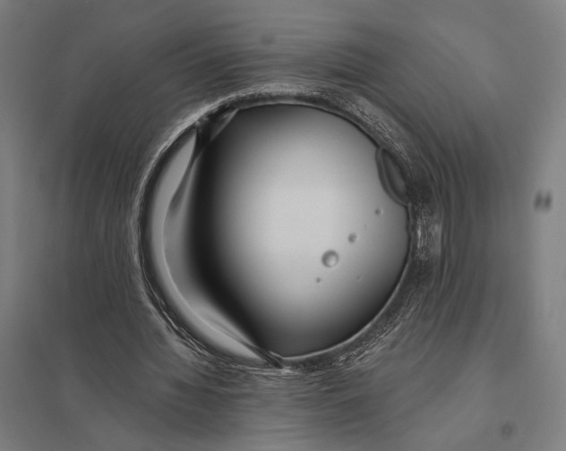 X0000097760436200803281637