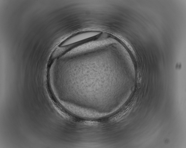 X0000097760437200803281637