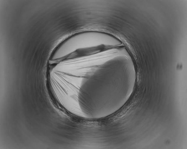 X0000097760438200803281637