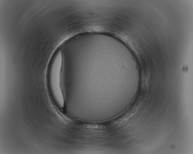 X0000097760439200803281637