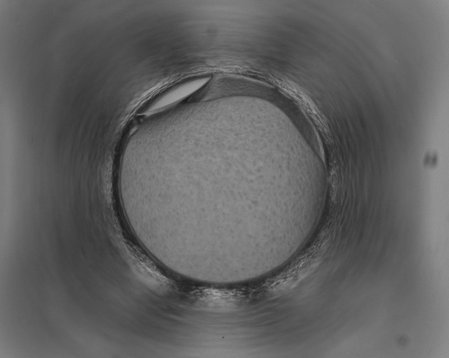 X0000097760442200803281637