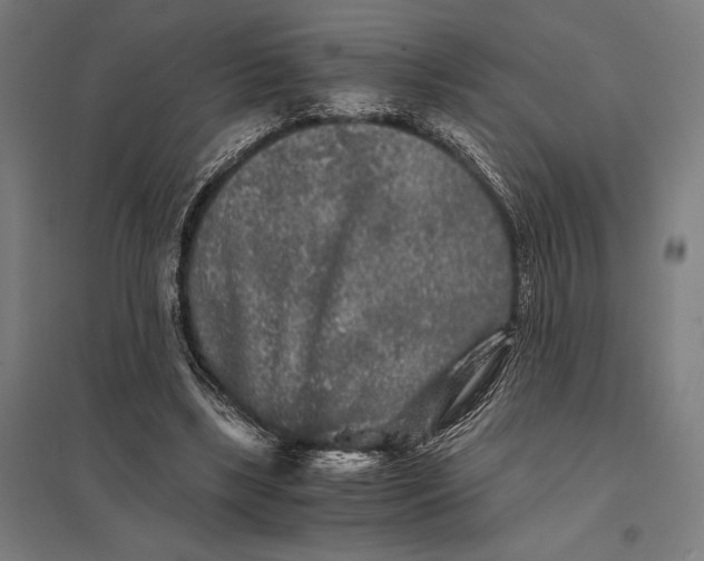 X0000097760443200803281637