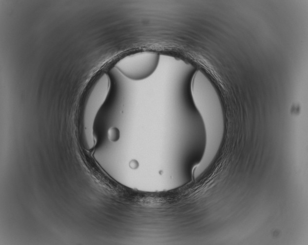 X0000097760444200803281638