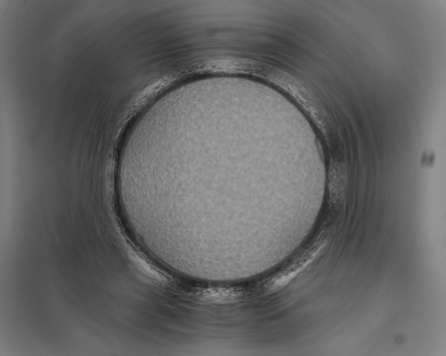 X0000097760445200803281638