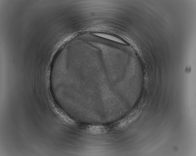 X0000097760446200803281638