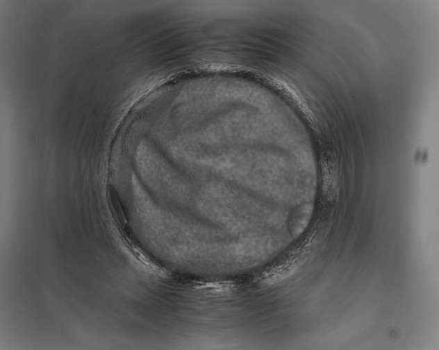 X0000097760447200803281638