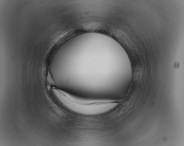 X0000097760448200803281638