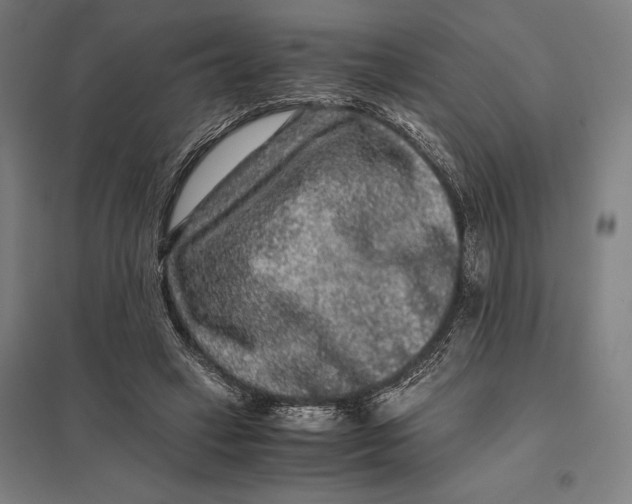 X0000097760449200803281638