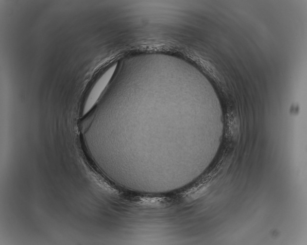 X0000097760450200803281638