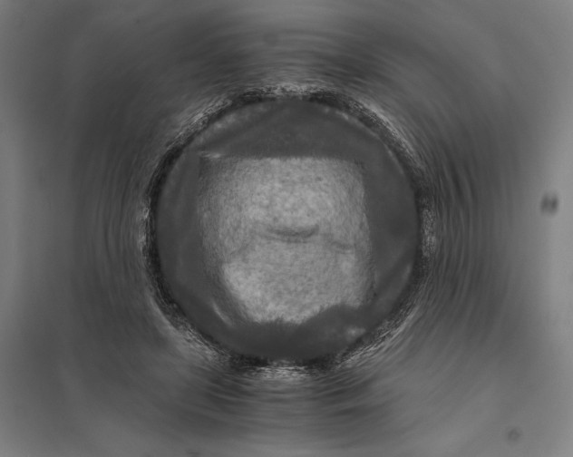 X0000097760451200803281638