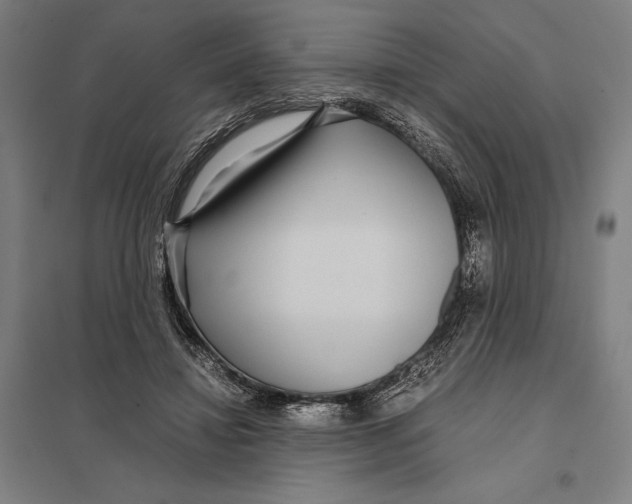 X0000097760452200803281638