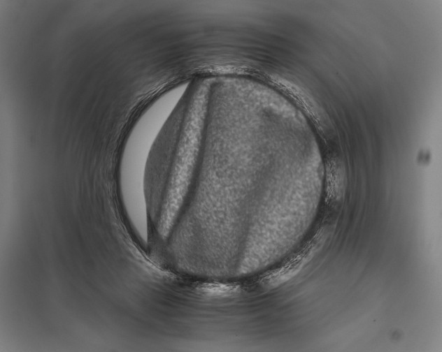 X0000097760453200803281638