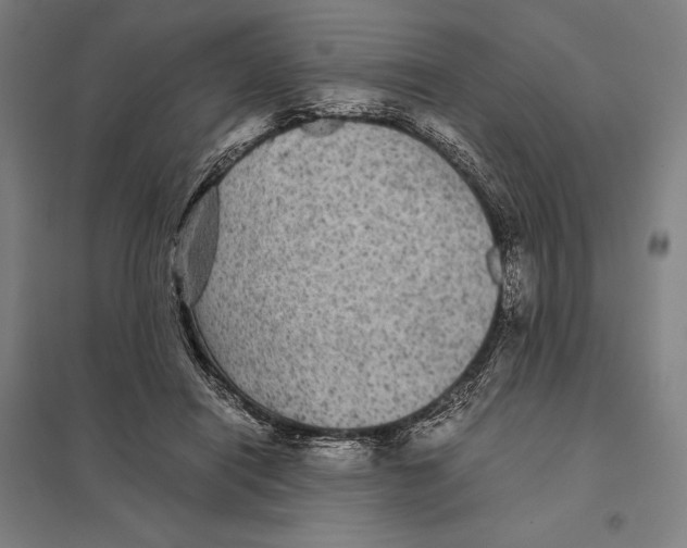 X0000097760454200803281638