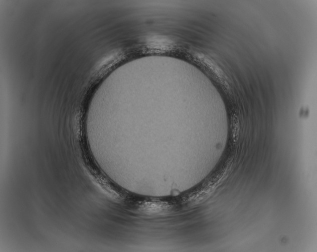 X0000097760455200803281638