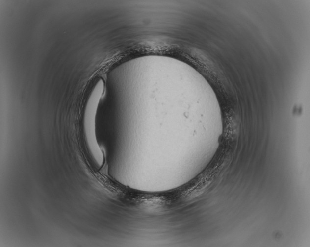 X0000097760456200803281638