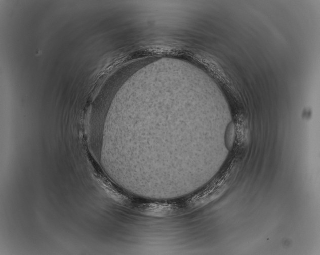 X0000097760458200803281638