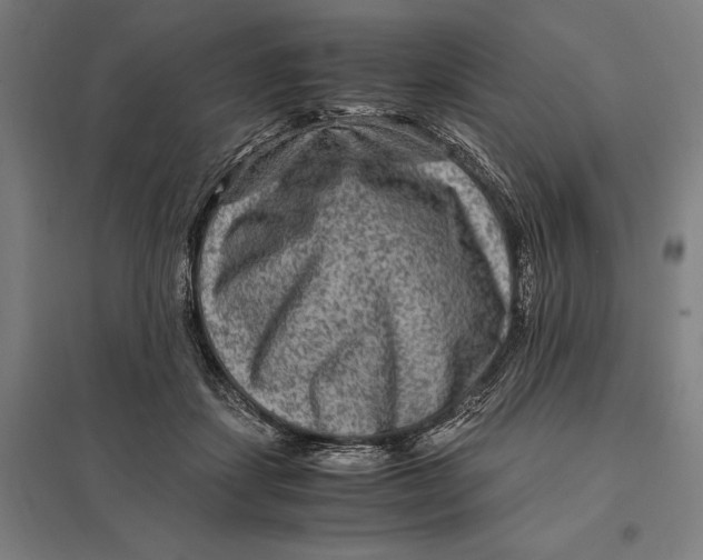 X0000097760459200803281638