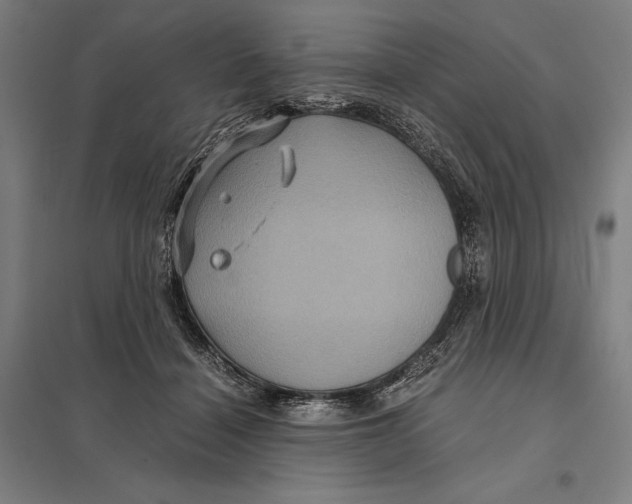 X0000097760460200803281638