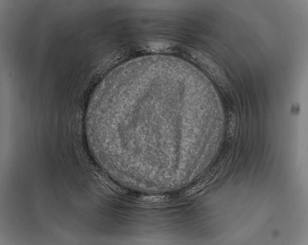 X0000097760461200803281638