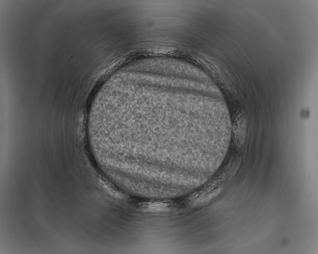 X0000097760462200803281638