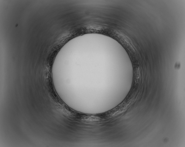 X0000097760463200803281638