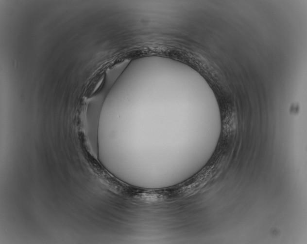 X0000097760464200803281638