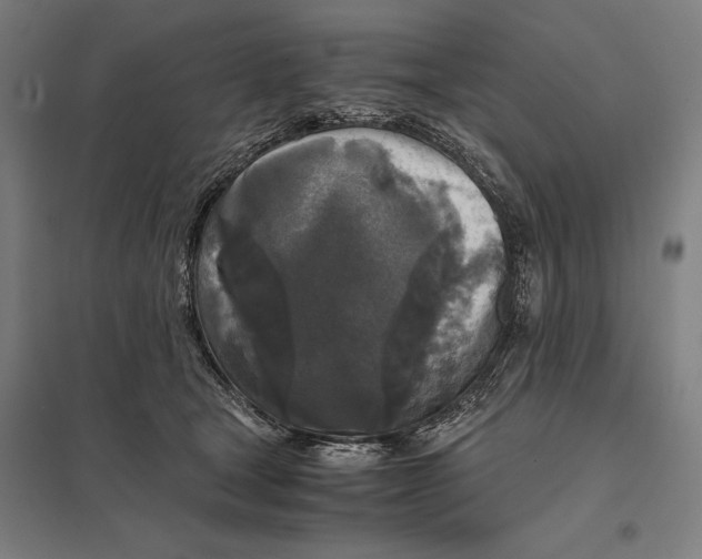 X0000097760465200803281638