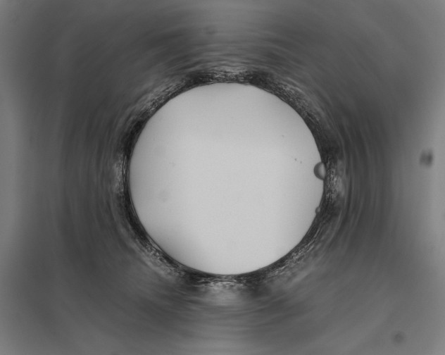 X0000097760468200803281638