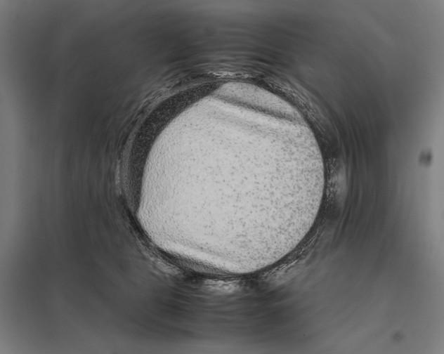 X0000097760469200803281638