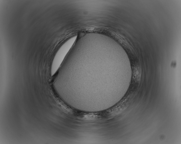 X0000097760470200803281638