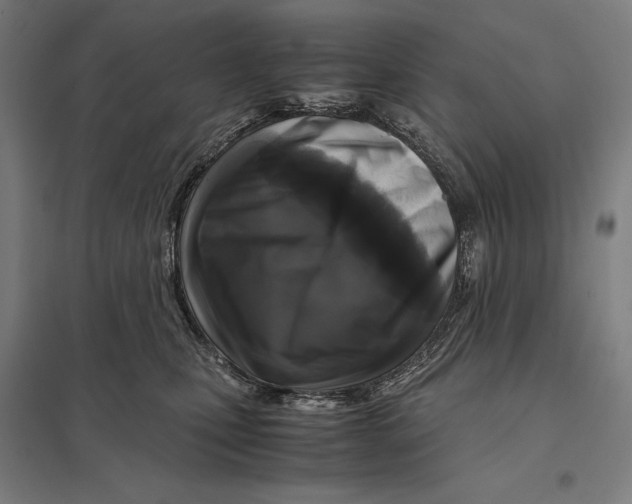 X0000097760471200803281638