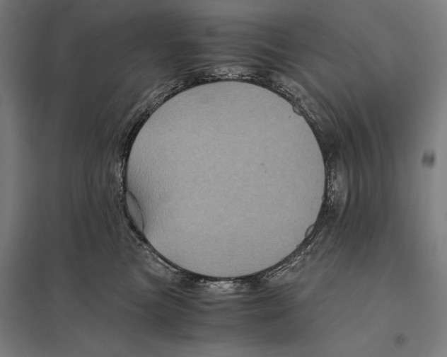 X0000097760473200803281638