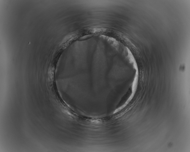 X0000097760475200803281638