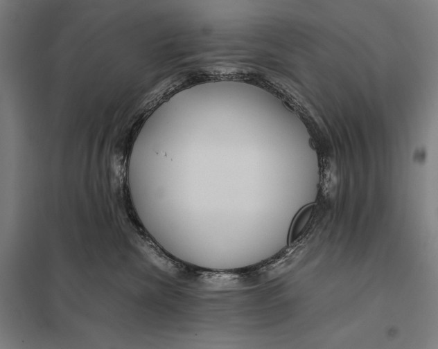 X0000097760476200803281638