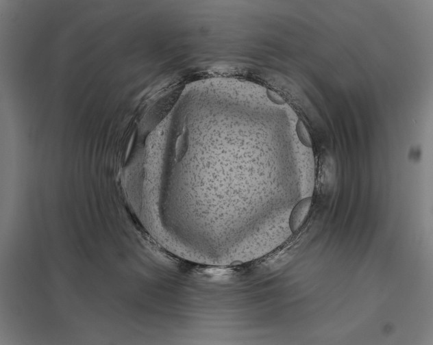 X0000097760478200803281638