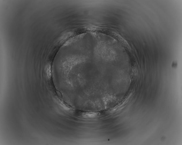 X0000097760479200803281638