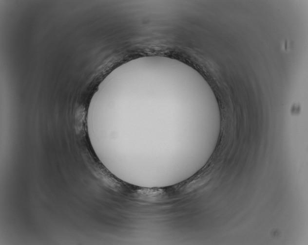 X0000097760480200803281638