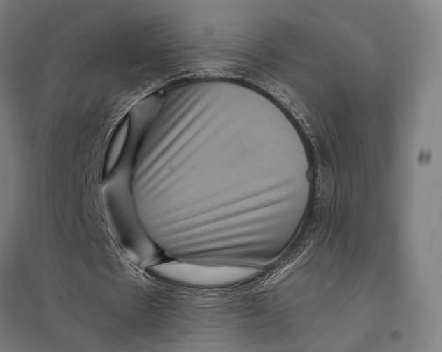 X0000097760481200803281637